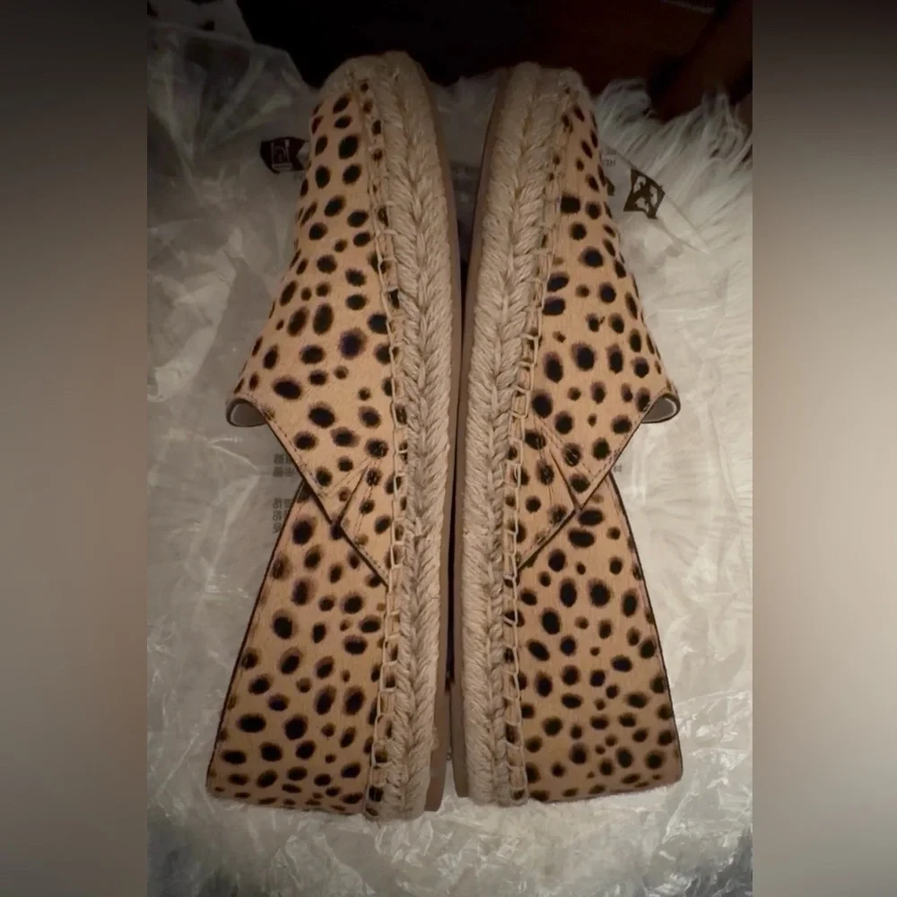 Converse sam edelman